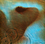 Meddle album cover